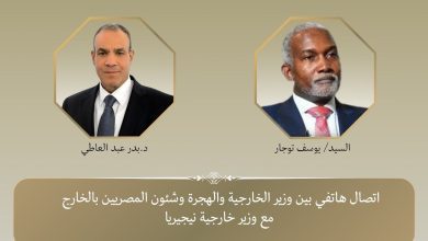 صورة وزير الخارجية ونظيره النيجيري يبحاث تطورات الأوضاع الاقليمية