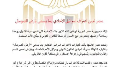 صورة مصر تدين اعتراف اسرائيل الأحادي بما يسمى بأرض الصومال