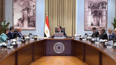 صورة مدبولي يبحث مستجدات استراتيجية الاستثمار الأجنبي المباشر 2025 – 2030