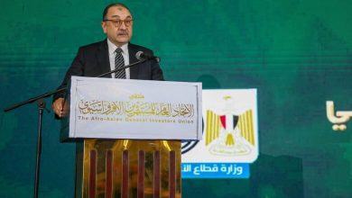 صورة وزير قطاع الأعمال العام : مجالات عديدة لتعزيز التعاون والشراكة مع القطاع الخاص