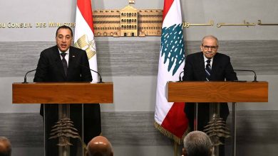 صورة رئيس  الوزراء : مصر تنظر إلى لبنان باعتباره ركيزة أساسية للاستقرار في المشرق العربي