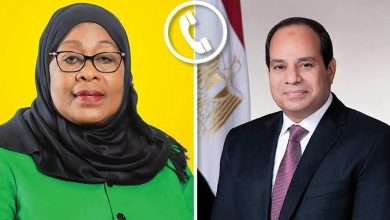 صورة الرئيس السيسي: مستعدون لدفع المزيد من الاستثمارات المصرية إلى السوق التنزانية
