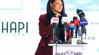 صورة وزيرة التخطيط : 9.5 مليار دولار تمويلات ميسرة لدعم الموازنة منذ بداية 2023