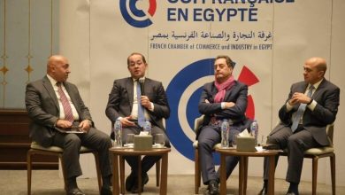 صورة كجوك  : الاقتصاد المصري يوفر فرصًا استثمارية متنوعة وجاذبة وأكثر تنافسية