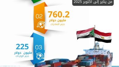 صورة 985.2 مليون دولار حجم التبادل التجاري بين مصر والسودان خلال الـ 10 أشهر الأولى من 2025