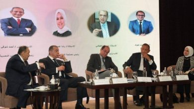 صورة وزير المالية : إعلان استراتيجية السياسات الضريبية في الربع الأول من 2026