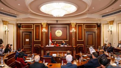 صورة “المشاط” : 17 مليار دولار تمويلات تنموية ميسرة للقطاع الخاص منذ 2020