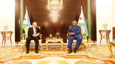 صورة جيبوتي ترحب بتوسيع استثمارات الشركات المصرية في البنية التحتية والنقل