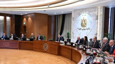 صورة مجلس الوزراء يمنح الرخصة الذهبية لشركة العلمين لمنتجات السيليكون