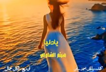 صورة يا دنيا لفي بينا”: لهيثم الشاولي ترجمه إنسانية  لأوجاع الخذلان وبصيص الأمل