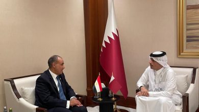 صورة وزير الخارجية يعرب عن التقدير للزخم الذي تشهده العلاقات المصرية – القطرية على مختلف الأصعدة