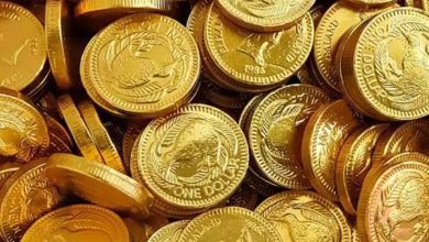 صورة المركز الإعلامي لمجلس الوزراء يوضح حقيقة انتشار جنيهات ذهبية مغشوشة بالأسواق