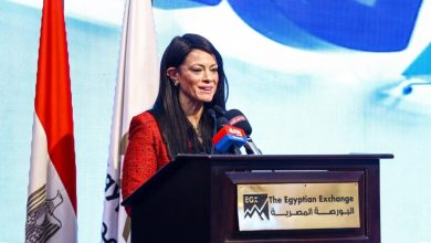 صورة “المشاط” : الحكومة ملتزمة بمواصلة تطوير وإعادة هيكلة بنك الاستثمار القومي