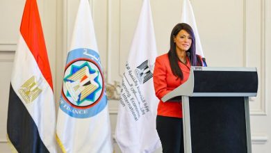 صورة ” المشاط ” : ننسق مع الجهات الوطنية لتفعيل الاتفاقات مع الدول الشقيقة للارتقاء بالعلاقات الاستثمارية