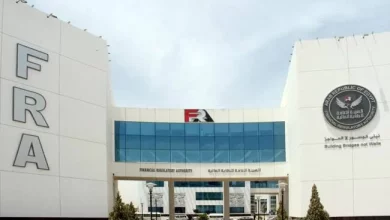 صورة الرقابة المالية :  168.1 مليار جنيه استثمارات صناديق التأمين الخاصة بنهاية 2024