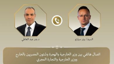 صورة وزير الخارجية يؤكد أهمية ضمان استدامة وقف إطلاق النار بغزة وتنفيذ استحقاقات المرحلة الثانية من خطة ترامب