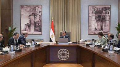 صورة رئيس الوزراء يؤكد حرص الدولة على النهوض بالطيران المدني والسعي المستمر لتعزيز ودعم مختلف مكونات القطاع