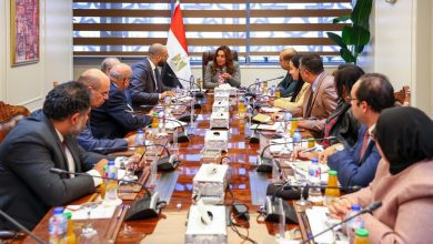 صورة د. منال عوض  تبحث مع قيادات وزارة الاتصالات  عدد من الملفات المرتبطة بعمل وزارتي التنمية المحلية والبيئة