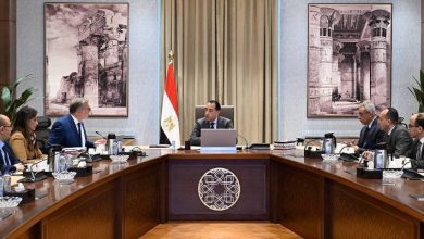 صورة مدبولي: لابد من التوسع في مشروعات الإنتاج المحلي لتقليل الفاتورة الاستيرادية من المواد البترولية