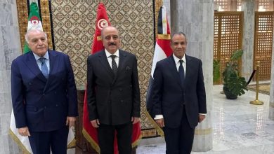 صورة وزراء خارجية مصر وتونس والجزائر: المصلحة العليا لليبيا والليبيين هي البوصلة الرئيسية