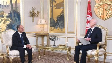 صورة وزير الخارجية يسلّم رسالة خطية من الرئيس السيسى إلى الرئيس التونسي|