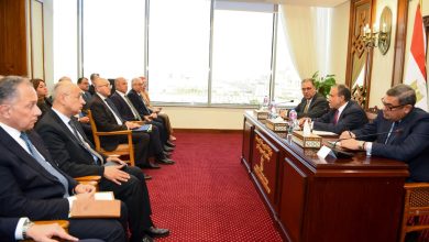 صورة وزير الخارجية يؤكد ضرورة تعزيز دور البعثات المصرية بالخارج في تيسير نفاذ المنتجات