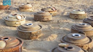 صورة مشروع مركز الملك سلمان للإغاثة “مسام” ينزع (837) لغمًا من الأراضي اليمنية خلال أسبوع