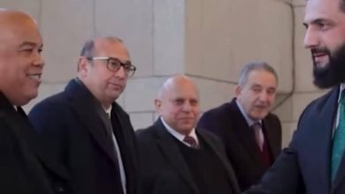 صورة محمد سعده: لقاء الرئيس الشرع مع اتحاد الغرف التجارية رجال الأعمال المصريين يؤكد اهتمام سوريا بتعزيز الشراكة الاقتصادية