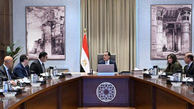 صورة رئيس الوزراء يتابع موقف تنفيذ الأعمال المتبقية بحديقة الفسطاط تمهيدًا للافتتاح والتشغيل