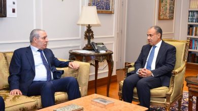 صورة وزير الخارجية يستقبل نائب رئيس فلسطين لبحث تطورات الأوضاع في قطاع غزة والضفة الغربية