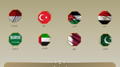 صورة مصر ودول عربية وإسلامية يعربون عن القلق البالغ إزاء تدهور الوضع الإنساني في قطاع غزة