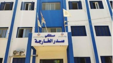 صورة الصحة: تقديم 1.7 مليون خدمة طبية بمنشآت محافظة الوادي الجديد خلال عام 2025