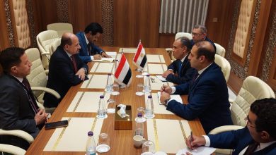 صورة وزير الخارجية: موقف مصر ثابت  وداعم لوحدة الجمهورية اليمنية وسيادتها وسلامة أراضيها