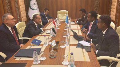 صورة وزير الخارجية :دعم مصر للجهود الرامية إلى تعزيز الأمن والاستقرار وتحقيق التنمية في الصومال