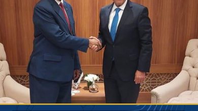 صورة وزير الخارجية يؤكد لنظيره السوداني حرص مصر على دعم السودان في هذه المرحلة الدقيقة