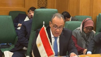 صورة وزير الخارجية  : ثوابت الموقف المصري الداعم لوحدة وسيادة وسلامة الصومال والحقوق المشروعة للشعب الفلسطيني