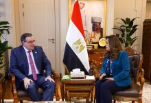 صورة وزيرة التنمية المحلية تبحث مع رئيس الجهاز المركزي للتنظيم والإدارة تحديث الهياكل التنظيمية