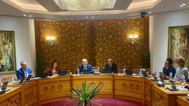 صورة وزارة الخارجية تستقبل وفدًا من المتدربين من الاتحاد الأوروبي