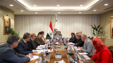 صورة شيمي: “حياة كريمة” نموذج تنموي غير مسبوق.. ومساهمة فاعلة لشركات قطاع الأعمال العام في المشروعات القومية