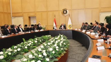 صورة ” الوزير “يلتقي سفير النمسا بالقاهرة و10 رؤساء كبرى الشركات لتوطين صناعة النقل المختلفة