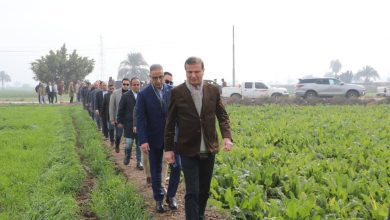 صورة وزير الزراعة : الفلاح المصري في مقدمة أولويات الدولة.. وهدفنا تحقيق الاكتفاء الذاتي من القمح