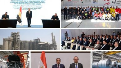 صورة “قطاع الأعمال” في 2025 تطور كبير في الأداء والإنتاج و126 مليار جنيه إيرادات الشركات التابعة