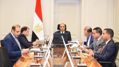 صورة وزير الخارجية يؤكد دعم مصر الكامل لوحدة وسيادة الصومال أمام مجلس السلم والأمن الأفريقي