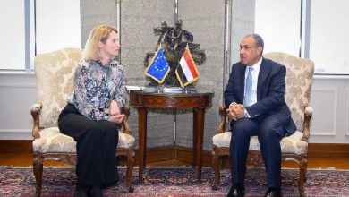 صورة وزير الخارجية  : تفعيل المنصة المصرية الأوروبية للاستثمار من خلال التوسع فى القطاعات المستفيدة