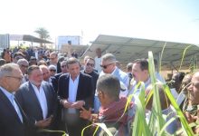 صورة محافظ البنك المركزي المصري ووزير الزراعة يتفقدان عدد من القرى المستفيدة من مشروع دعم صغار المزارعين بمحافظة أسوان