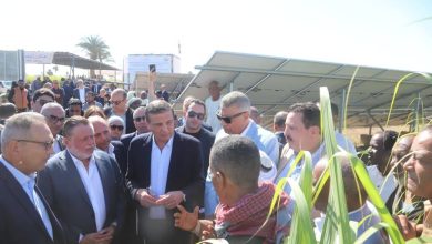 صورة محافظ البنك المركزي المصري ووزير الزراعة يتفقدان عدد من القرى المستفيدة من مشروع دعم صغار المزارعين بمحافظة أسوان