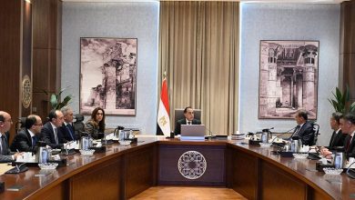 صورة رئيس الوزراء يستعرض إجراءات التعامل مع الحيوانات الضالة والمتروكة