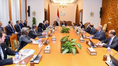 صورة وزير الخارجية يؤكد أولوية الدائرة الإفريقية في السياسة الخارجية المصرية