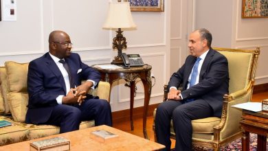 صورة وزير الخارجية يبحث تعزيز التعاون مع البنك الأفريقي للتصدير والاستيراد