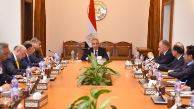 صورة وزير الخارجية يؤكد على الدور المحورى للقطاع الخاص في تعزيز الشراكات الاقتصادية مع أفريقيا